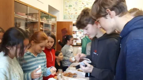 Misijní štrúdlování_4