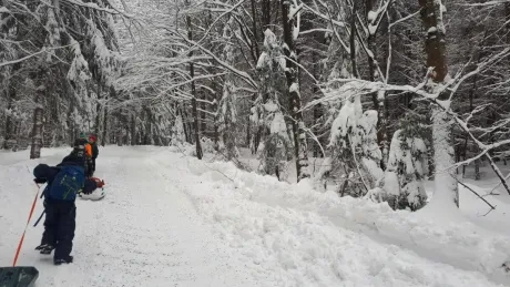 Deštné v Orlických horách_1. A (1.)