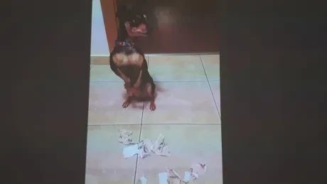 Noc s Andersenem 2023_2