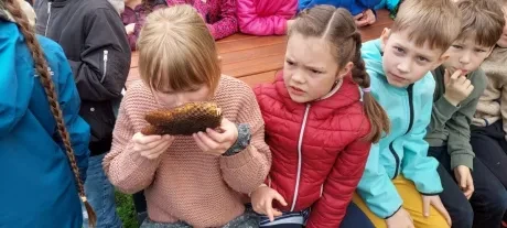 Projekt Včela_2. A_1