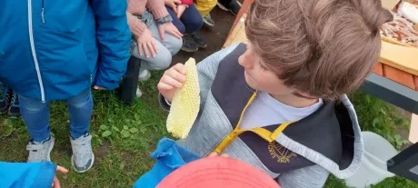 Projekt Včela_2. A_1