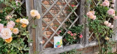 Pasování na čtenáře_3