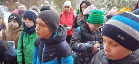 ZOO_Ozdob stromeček trochu jinak_1