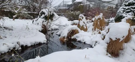 ZOO_Ozdob stromeček trochu jinak_1