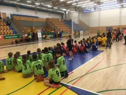 Turnaj ve vybíjené 2019