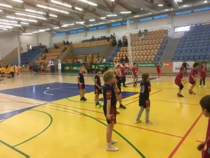 Turnaj ve vybíjené 2019