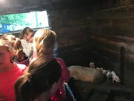 Předměřice - 5. A