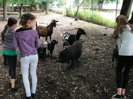 Předměřice - 5. A