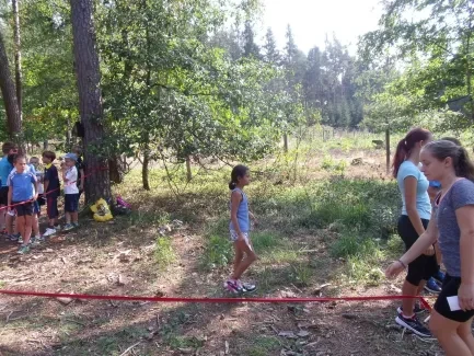Orientační běh - Liga hradeckých škol