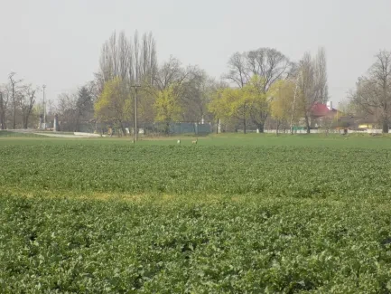 Přírodovědná procházka_4. B