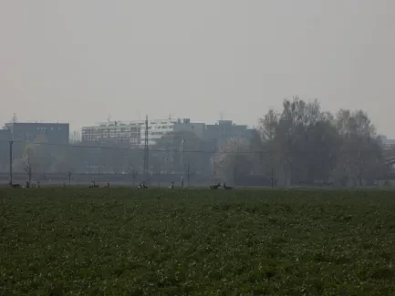 Přírodovědná procházka_4. B