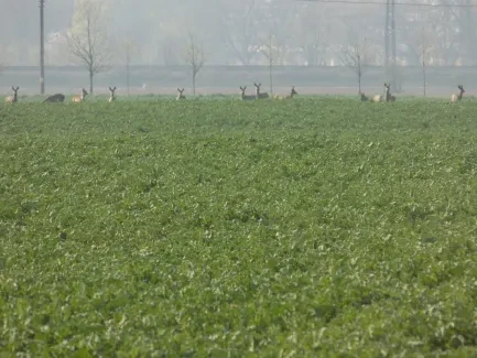 Přírodovědná procházka_4. B