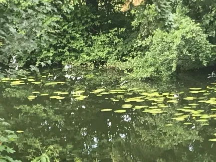 Předměřice - 5. A