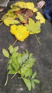 Landart a lampičky ve školní družině