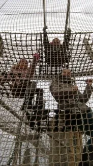 ZOO - Ozdob nám stromeček 2018