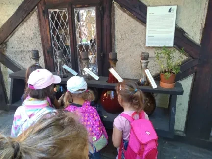 Den círk. šk._Botanicus_1. A, 2. A