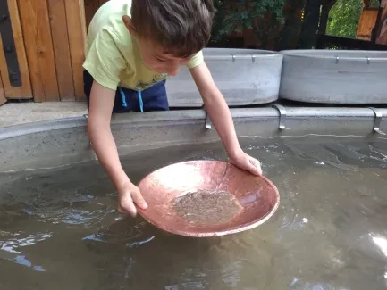 Den círk. šk._Botanicus_1. A, 2. A