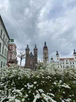 Zeptej se motýla... mezigenerační projekt_2