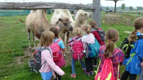 Příměstský tábor Noe