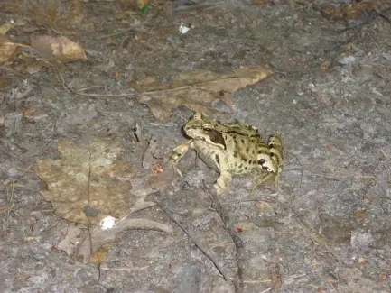 Školní pouť - 1. část