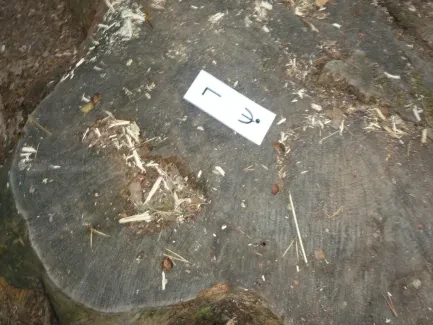 Školní pouť - 1. část