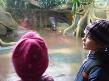 ZOO - Ozdob nám stromeček 2018