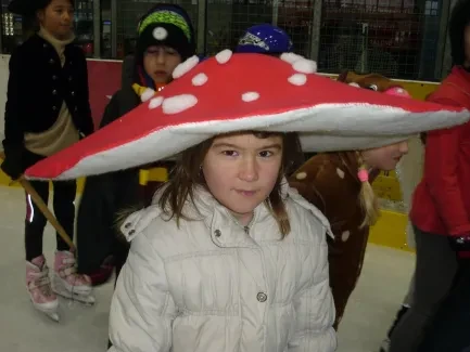 Karneval na ledě 2019