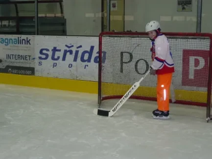 Karneval na ledě 2019