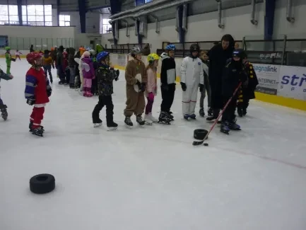 Karneval na ledě 2019