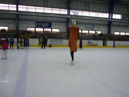 Karneval na ledě 2019