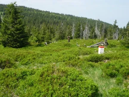 Škola v přírodě_2. A_část 1