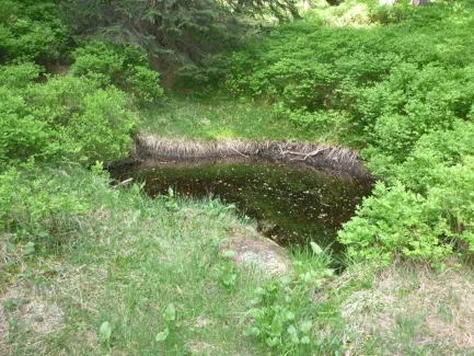 Škola v přírodě_2. A_část 1