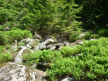 Škola v přírodě_2. A_část 2