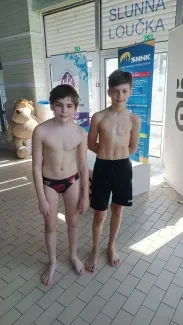 Hradecké sportovní hry